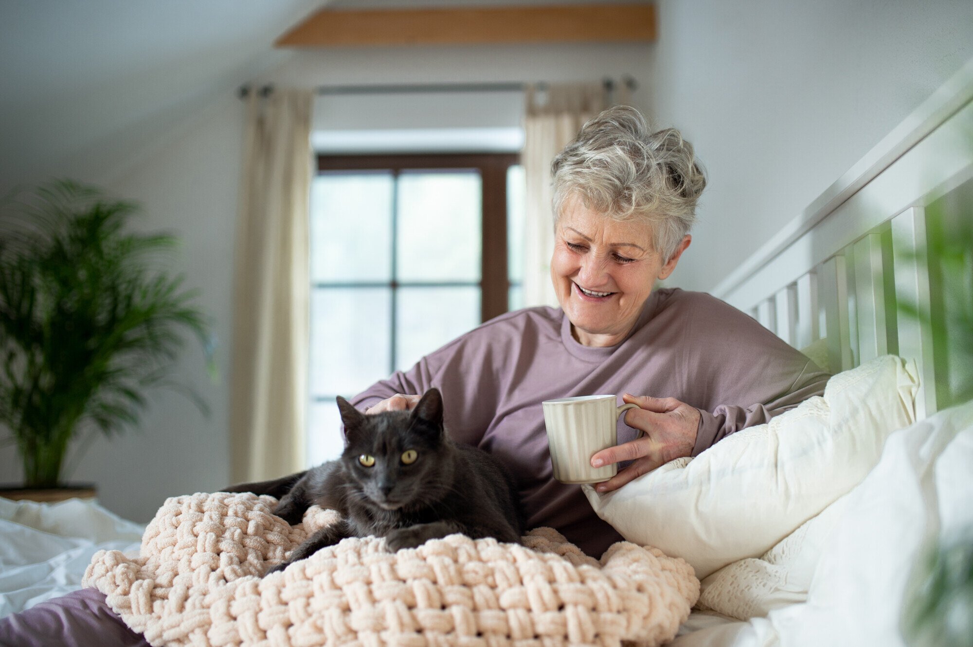 Understanding the Role of Healthcare Services in Assisted Living